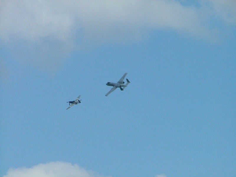 P-51 and A-10